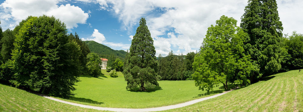 Rimske Terme - Hotel Zdraviliski Dvor ริมสเกตอปลิตเซ ภายนอก รูปภาพ